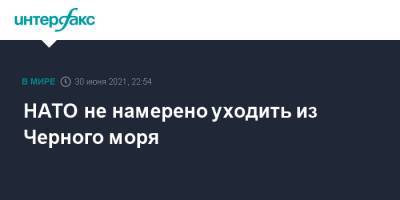 Джеймс Аппатурай - НАТО не намерено уходить из Черного моря - interfax.ru - Москва - Россия - Украина - Крым - Англия - Грузия - Тбилиси