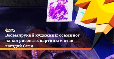 Восьмирукий художник: осьминог начал рисовать картины и стал звездой Сети - ridus.ru - США - шт.Флорида