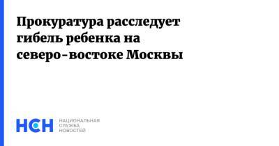 Людмила Нефедова - Прокуратура расследует гибель ребенка на северо-востоке Москвы - nsn.fm - Москва - территория Москва