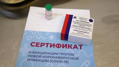 Петер Сийярто - Венгрия рассчитывает открыть границы для привившихся россиян - iz.ru - Москва - Венгрия - Будапешт