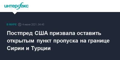 Линда Томас-Гринфилд - Постпред США призвала оставить открытым пункт пропуска на границе Сирии и Турции - interfax.ru - Москва - США - Сирия - Турция