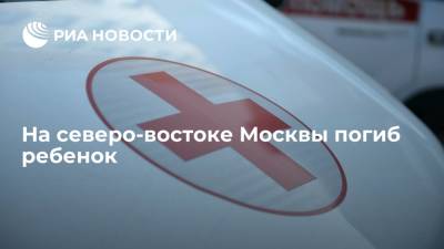 Людмила Нефедова - На северо-востоке Москвы погиб ребенок - ria.ru - Москва - Россия