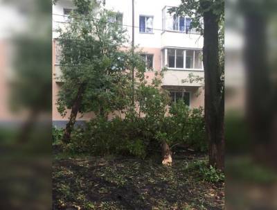 Радий Хабиров - Олег Байдин рассказал, что нужно сделать, чтобы Уфа «цвела и благоухала» - ufacitynews.ru - Башкирия - Уфа