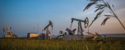 Нефтегазовые компании потеряли лидерство по объему дивидендов - runews24.ru - city Iti
