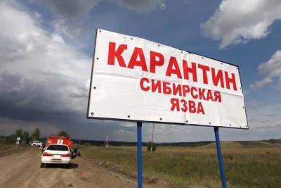Владислав Ховалыг - В Туве закрыли на карантин село из-за сибирской язвы у жителя - znak.com