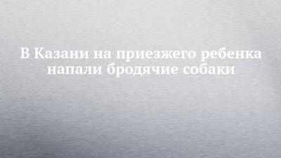 В Казани на приезжего ребенка напали бродячие собаки - chelny-izvest.ru - Казань