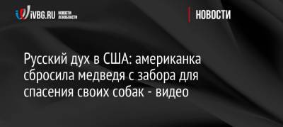 Русский дух в США: американка сбросила медведя с забора для спасения своих собак — видео - ivbg.ru - Россия - США