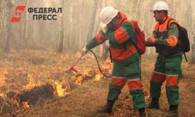В Вагайском районе рядом с селами снова горит лес - fedpress.ru - Тюмень - Тобольск - район Вагайский