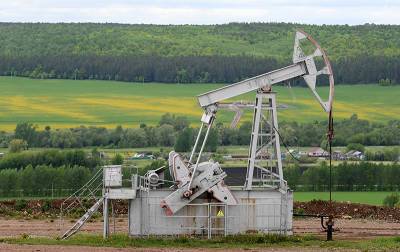 Александр Новак - Николай Шульгинов - Новак сделал прогноз о выходе рынка нефти на докризисный уровень - tvc.ru