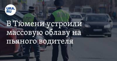 В Тюмени устроили массовую облаву на пьяного водителя. Видео - ura.news - Тюмень - Тюменская обл.