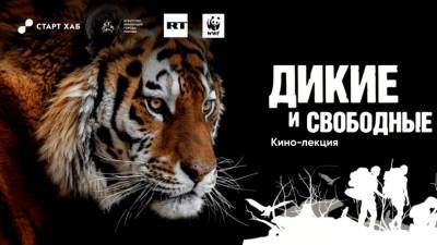 Николай Дроздов - Документальные фильмы RT покажут на экспериментальной площадке Старт Хаб на Красном Октябре - russian.rt.com - Москва