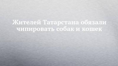 Жителей Татарстана обязали чипировать собак и кошек - chelny-izvest.ru - респ. Татарстан