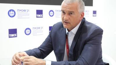 Сергей Аксенов - Аксенов: среди владельцев недвижимости в Крыму много борцов с российским государством - vesti.ru - Крым