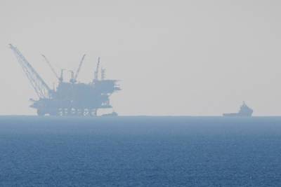 Реджеп Тайип Эрдоган - Турция нашла в Черном море новое месторождение газа - lenta.ru - Турция