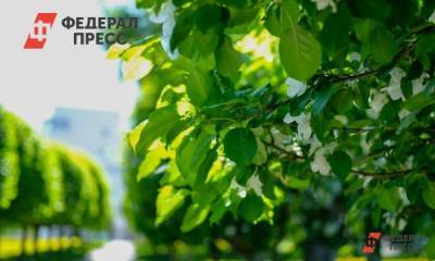 Краснодар подвел итоги голосования по благоустройству - fedpress.ru - Краснодар
