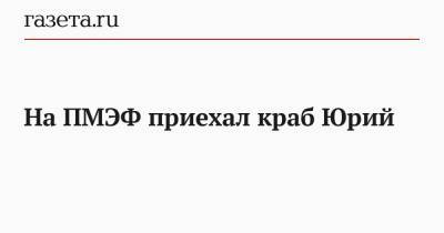 На ПМЭФ приехал краб Юрий - gazeta.ru - Норвегия - Мурманская обл.