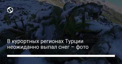 В курортных регионах Турции неожиданно выпал снег – фото - liga.net - Турция