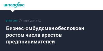 Борис Титов - Игорь Краснов - Бизнес-омбудсмен обеспокоен ростом числа арестов предпринимателей - interfax.ru - Москва