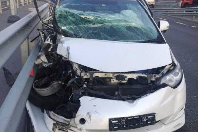 Водитель Volkswagen сбил маленькую девочку на «зебре» в Великом Новгороде - mk.ru - Новгородская обл. - Великий Новгород