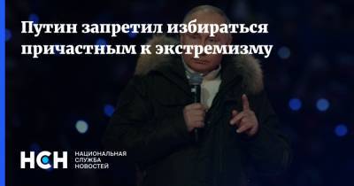 Владимир Путин - Путин запретил избираться причастным к экстремизму - nsn.fm