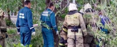 Алексей Русских - В Ульяновске прокуратура проводит проверку по факту падения дерева на ребенка - runews24.ru - Ульяновск - Ульяновская