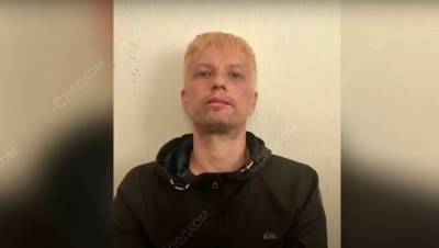 В Петербурге задержали мужчину, сбившего на электросамокате пятилетнюю девочку - gazeta.ru - Ленинградская обл. - Санкт-Петербург