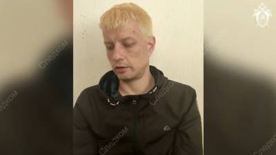 Сбивший ребенка самокатчик при задержании выбросил сумку с наркотиками - vesti.ru - Санкт-Петербург