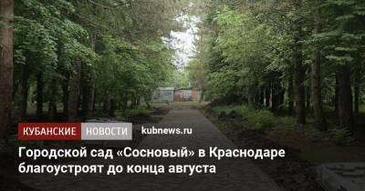 Евгений Первышов - Городской сад «Сосновый» в Краснодаре благоустроят до конца августа - kubnews.ru - Краснодарский край - Краснодар - Благоустройство