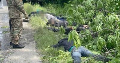 СБУ поймала пять человек на вырубке леса в нацпарке "Подольские Товтры" (ФОТО) - delo.ua