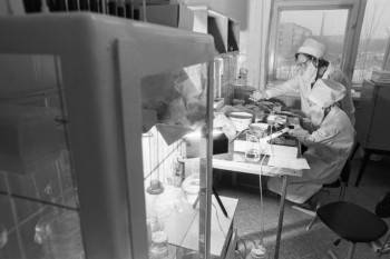 Человечество 40 лет ведет борьбу с ВИЧ-инфекцией - vologda-poisk.ru