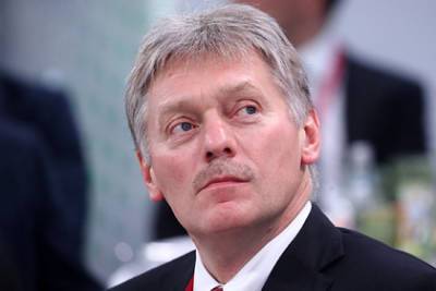 Дмитрий Песков - Сергей Перминов - Песков допустил провокации во время праймериз «Единой России» - lenta.ru