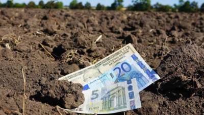Молдавские социалисты выступают за запрет продажи земли иностранцам - anna-news.info - Молдавия