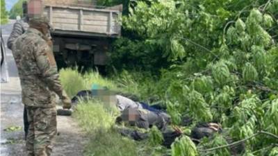 СБУ прекратила вырубку деревьев в нацпарке «Подольские Товтры» - hubs.ua