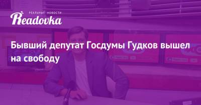 Дмитрий Гудков - Михаил Бирюков - Ирина Ермилова - Бывший депутат Госдумы Гудков вышел на свободу - readovka.ru - Москва