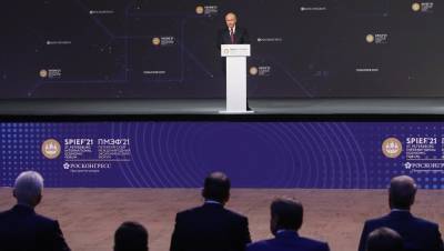 Владимир Путин - Акции "Газпрома" обновили максимум за 13 лет на словах Путина о газопроводе - dp.ru