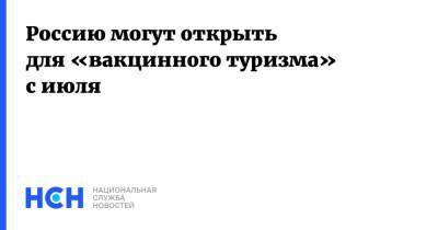 Кирилл Дмитриев - Россию могут открыть для «вакцинного туризма» с июля - nsn.fm