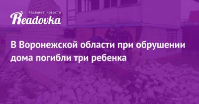 В Воронежской области при обрушении дома погибли три ребенка - readovka.news - Москва - Воронежская обл.