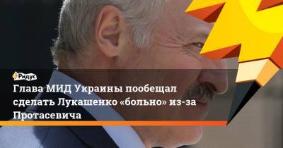 Александр Лукашенко - Роман Протасевич - Дмитрий Кулеба - Глава МИД Украины пообещал сделать Лукашенко «больно» из-за Протасевича - ridus.ru - Киев - Минск - ЛНР