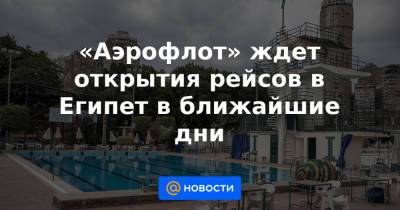 Михаил Полубояринов - «Аэрофлот» ждет открытия рейсов в Египет в ближайшие дни - news.mail.ru - Египет - Турция - Каир