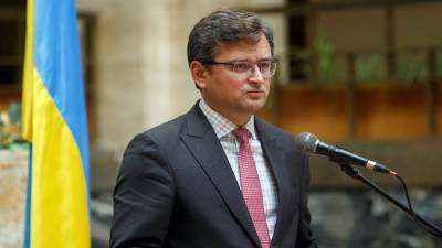 Александр Лукашенко - Роман Протасевич - Дмитрий Кулеба - Киев пригрозил сделать Лукашенко больно в случае допуска следователей ЛНР в страну - iz.ru - Киев - ЛНР