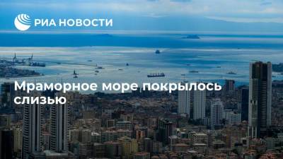 Мраморное море покрылось слизью - ria.ru - Турция - Стамбул