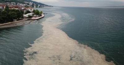 Побережье Турции атаковали "морские сопли" (ФОТО, ВИДЕО) - delo.ua - Турция - Стамбул - Экология
