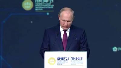 Владимир Путин - Путин предложил освободить от НДС мелкие предприятия общепита - piter.tv - Пмэф