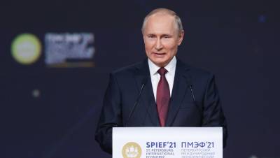 Владимир Путин - Путин: для начала поставок по "Северному потоку-2" нужно дней десять - dp.ru