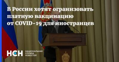 Владимир Путин - В России хотят огранизовать платную вакцинацию от COVID-19 для иностранцев - nsn.fm