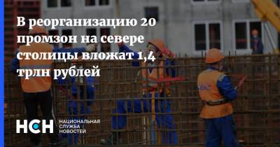 Владимир Ефимов - В реорганизацию 20 промзон на севере столицы вложат 1,4 трлн рублей - nsn.fm - Москва