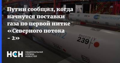 Владимир Путин - Путин сообщил, когда начнутся поставки газа по первой нитке «Северного потока - 2» - nsn.fm