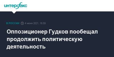 Дмитрий Гудков - Ирина Ермилова - Оппозиционер Гудков пообещал продолжить политическую деятельность - interfax.ru - Москва