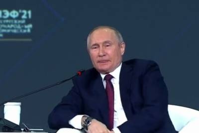 Владимир Путин - Роман Протасевич - Путин раскритиковал модератора ПМЭФ из-за вопросов о Протасевиче: Затюкал - mk.ru - Ирландия