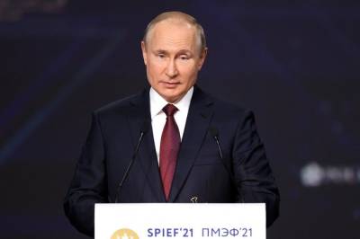Владимир Путин - Путин напомнил партнерам, что Россия не обязана «всех кормить» - infox.ru